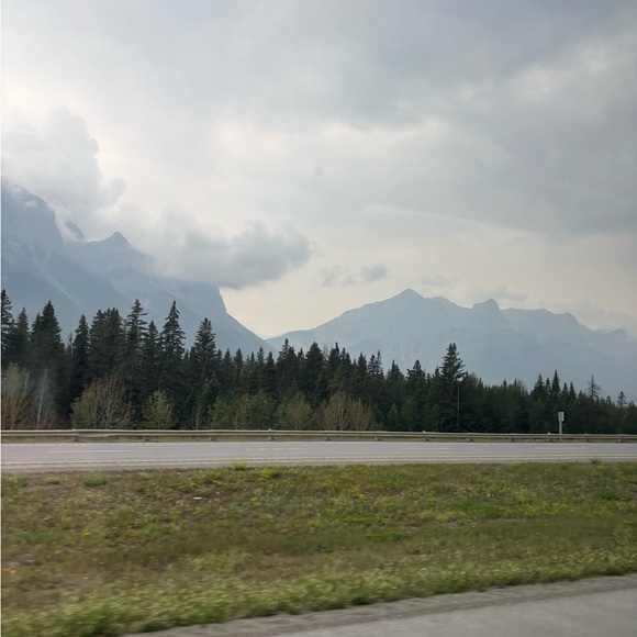 trentains266